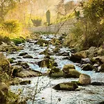 Gosciniec Nad Potokiem Bed & Breakfast
