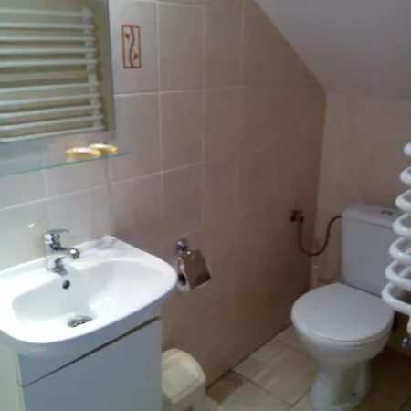 Gosciniec Nad Potokiem 3* 카르파츠