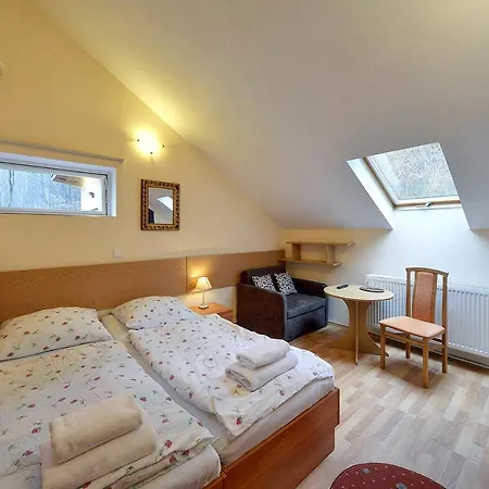 Gosciniec Nad Potokiem 3* 카르파츠